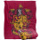 Harry Potter Harry Potter Gryffindor Painted Blanket 3