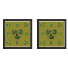 2X Film de Visualisation de Champ MagnéTique, DéTecteur de Champ MagnéTique pour Voir les Champs MagnéTiques pour L'Enseignement de Projets