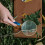 3Pièces Loupe À Usage Lecture Verre Portable 5