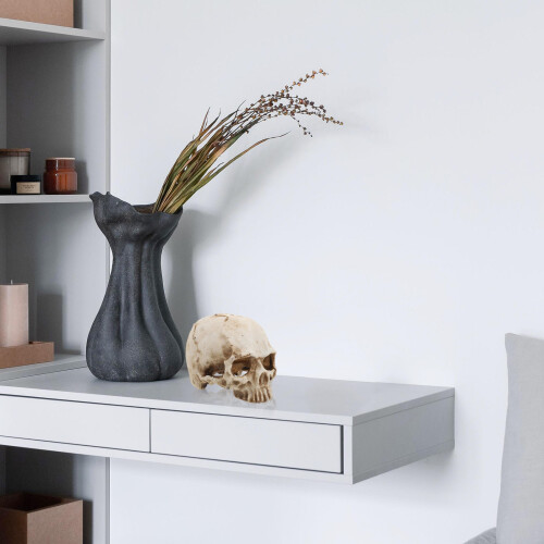 4Ud De En Resina Beige Para Decoración Y Anatomía 2