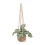 10Ud Colgante De Planta Artificial De Y Cristal Para 1