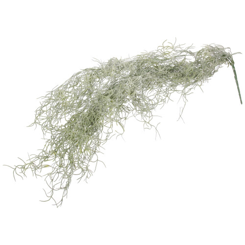 4Pz Muschio Verde Per Decorazione Piante Appese E Lavoretti 1