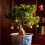 8Pcs Decorativos Chinês Festa Primavera 5