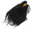 2Pz Per Animali Nero Per Halloween Carnevale E Uso 2