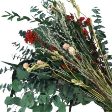 120 Stuks Gedroogde Eucalyptus voor Douche, Eucalyptus met Stengels voor Woondecoratie, 17 Inch Douche Eucalyptus Hangend