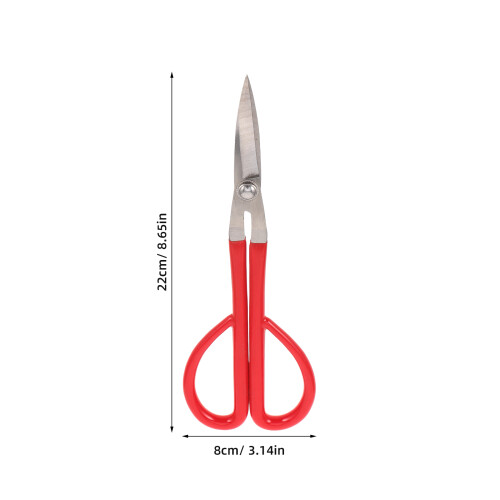 Coupe-Branche : Ciseaux De Taille En Acier Inoxydable 1