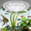 Acrylic Fish Tank Protective Cover with Easy Feeding Access 7