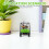 2Pièces Miniature Golf Cart Alliage Pour Décor Vert 4