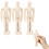 48Pz Figure in Legno Beige Per Schizzi Con Stabile 5