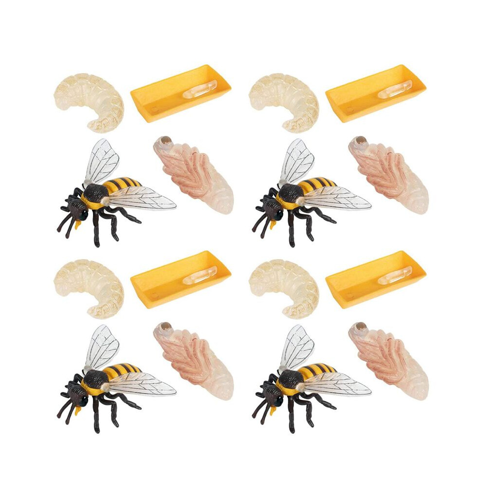 Pack Of 12 Insect Figurines Life Cycle Of Honey Bee Realistic Insects Figures Toys Educational Science Model Toy 4713276356127