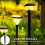 30Pz Paletti Neri Per Luci Da Giardino Esterno ABS 8