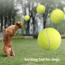 Haustier Biss Spielzeug 24CM Riesen Tennis  für Hunde Kauen Spielzeug Aufblasbarer Tennis  Signature Haustier Spielzeug  Bedarf