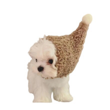 Leuke heksenmuts voor kleine honden en katten Dikke warme fleece