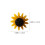 60 Pezzi Spilli Girasole - Decorativi Per Lavagna In 2