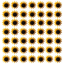 60 Pezzi Spilli Girasole - Decorativi Per Lavagna In