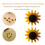 60 Pezzi Spilli Girasole - Decorativi Per Lavagna In 5