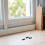 Abrazaderas Retención Para Ventana Vidrio Panel 120 Unidades 5