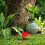 5Pcs Durable Red Garden Marker Flags with Stakes for Lawn Use 6