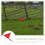 5Pcs Durable Red Garden Marker Flags with Stakes for Lawn Use 7