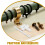 36Set Componenti Riparazione Tende in Materiale PP 4