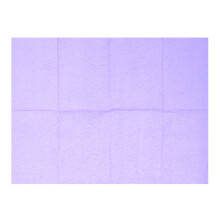 2Pz Tovagliette Monouso Impermeabili Viola Per Uso