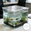 Coperchio Acquario Trasparente in Acrilico Antisalto Per Casa 9