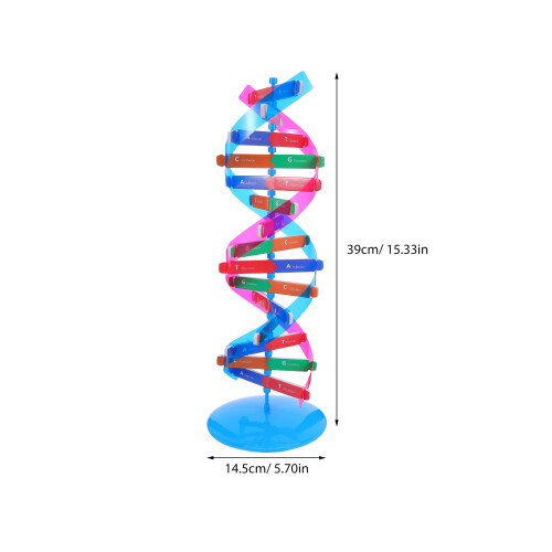 De Dupla Hélice Do DNA: Kit De Montagem Molecular Para 2