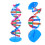 De Dupla Hélice Do DNA: Kit De Montagem Molecular Para 7