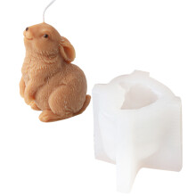 Portable 3D Carrot Rabbit Candle Mould-Wait and see the rab