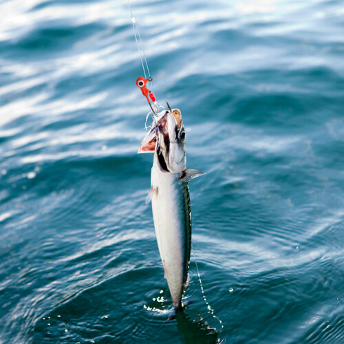 Αγκίστρι με κεφαλή μολύβδου για ψάρεμα Crappie, πλάνοι για ψάρεμα στον πάγο Crappie με 1