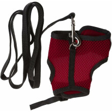 Colete adaptável para animais de estimação, arnês ajustável com guia elástica para animais de pequeno porte, colete de malha respirável que