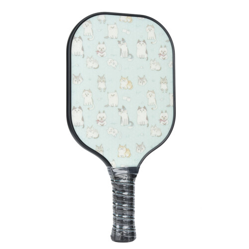 Επαγγελματικά κουπιά Pickleball από ίνες άνθρακα T300, υβριδικό κουπί από ίνες άνθρακα 1