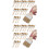 48St Multi Kleur Kwasten Voor Basting Grillen En Olieverf 5