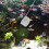 Rete Pesca Telescopica 5