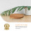 4 Pezzi In Ottone Per Scatola Legno, Supporti Sfera Decorativi 9