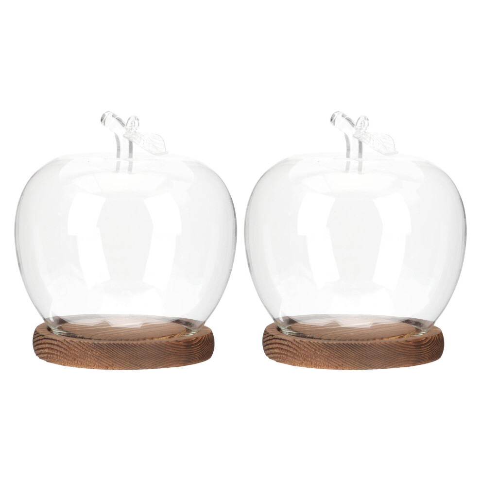 2Szt Elegancka Szklana KopułA Z Podstawą Drewnianą Do RęKodziełA-image