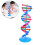 Dna Dupla Hélice: Kit Montagem Molecular Para Genética 11