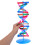 Dna Dupla Hélice: Kit Montagem Molecular Para Genética 4
