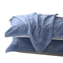 Pair of Soft Breathable Cotton Pillow Towels Warmth Sleep-Blue