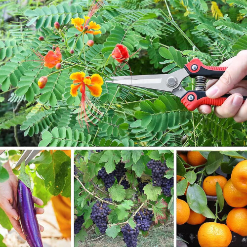 Ψαλίδι κλαδέματος Gardener's Delight, μηχανισμός ασφαλούς κλειδώματος για ασφαλή 1