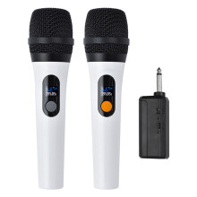 Draadloze Handmicrofoon 2.4G Draagbaar Microfoonsysteem met voor Thuis KTV Karaoke Heldere Stem, Helder Geluid
