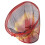Shrimp Net Fish Landing Nets Foldable Lightweight Strong Umbrella Bracket Quick Dry Easy Storage Universal Multifunction Fixed Frame 3