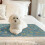 Ice Silk Cooling Mat Keep Pet Cool Pad Blanket-Cat Park Grey C 5