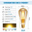 Λαμπτήρας LED E27St64Filament με ομαλή ρύθμιση έντασης, εξοικονόμησης ενέργειας 2200K, 2
