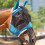 Μάσκα Ιππασίας Equestrian's Best Friend, με λεπτό πλέγμα που εξασφαλίζει μέγιστη προστασία 4