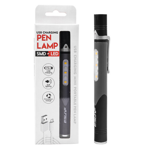 Φακός Penlights για επαγγελματίες υγείας, επαναφορτιζόμενα μίνι LED φώτα στυλό με 1