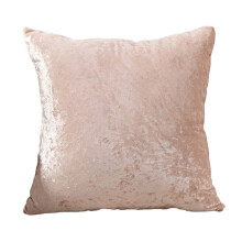 Comfortable and Fashionable Velvet Throw-450*450mm Pink