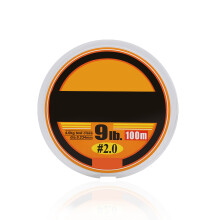 Fluorocarbon Fishing Line, Silver Gray, Made In Japan, High Strength Fishing Gear, Super Strong Dia For Sea Fishing, 100M