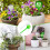 Hand-Blown Glass Automatic Plant Waterer, Adjustable Insertion Depth for Customized Hydration 3