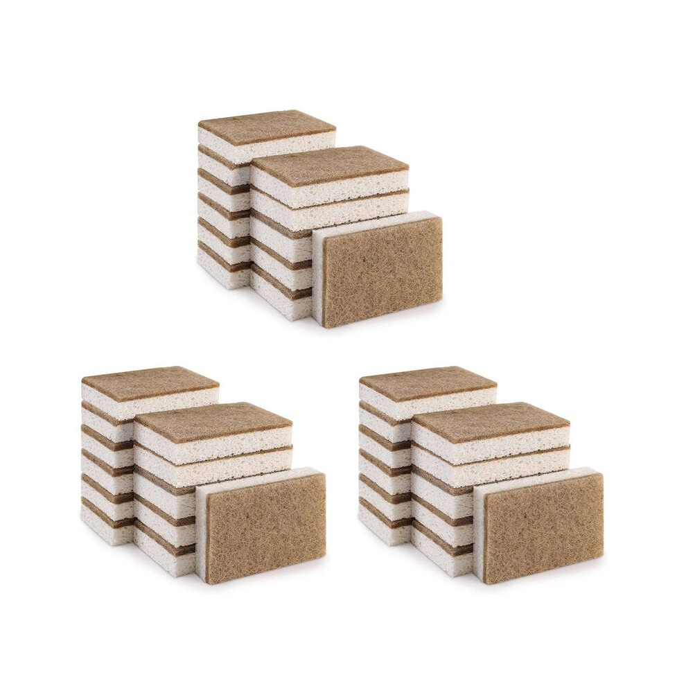 Typecat Eco-Friendly Natural Sponges For Dishes 36 Pack - Biodegradable Kitchen Sponge With Compostable Coconut Scrubber
